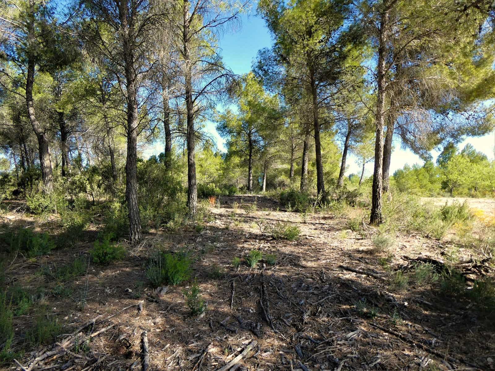 Finca/Casa di Campagna in vendita in Calaceite - 39.000 € (Rif: 8672378)