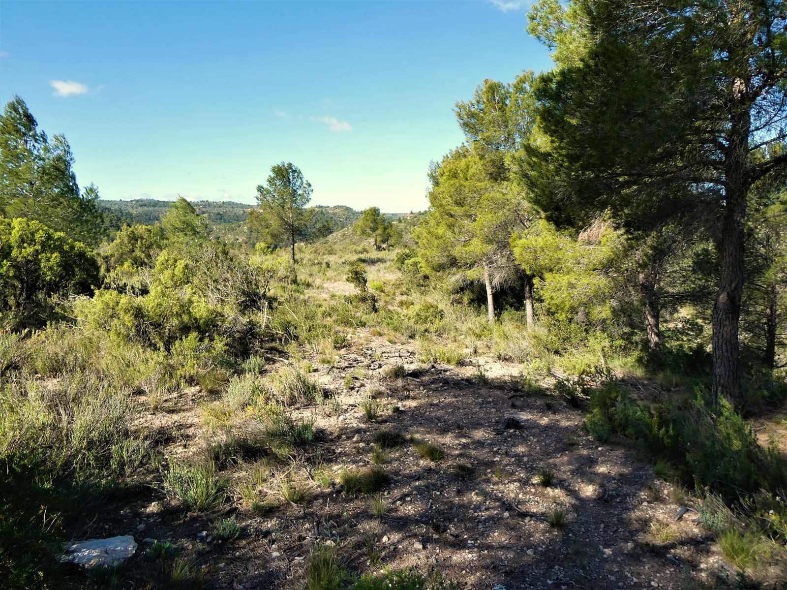 Finca/Country House for sale in Calaceite - € 39,000 (Ref: 8672378)