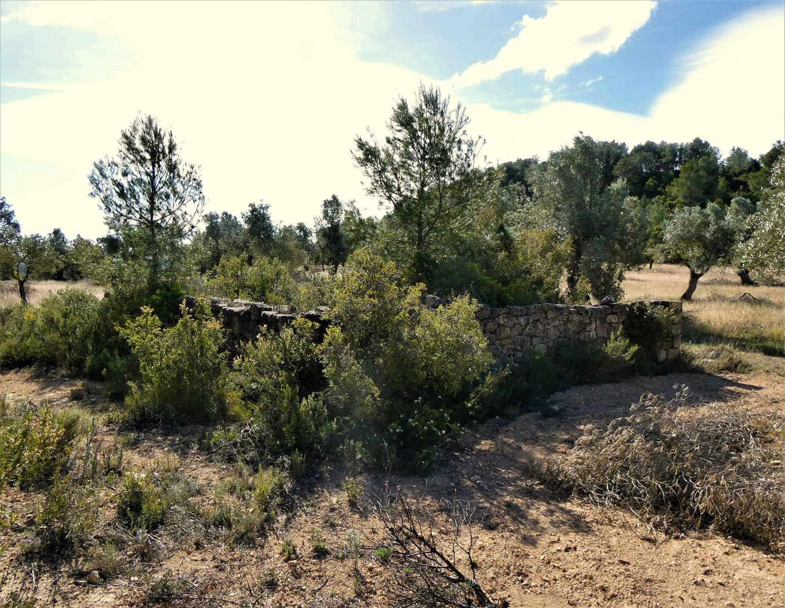 Finca/Country House for sale in Calaceite - € 39,000 (Ref: 8672378)