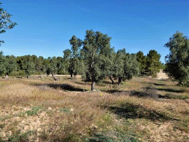 Finka/Dom wiejski na sprzedaż w Calaceite - 39 000 € (Ref: 8672378)