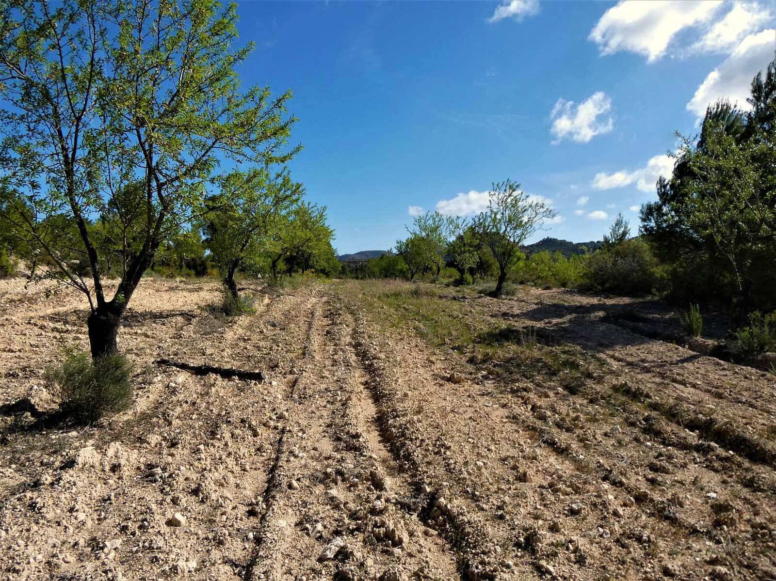 Finca/Country House for sale in Calaceite - € 39,000 (Ref: 8672378)
