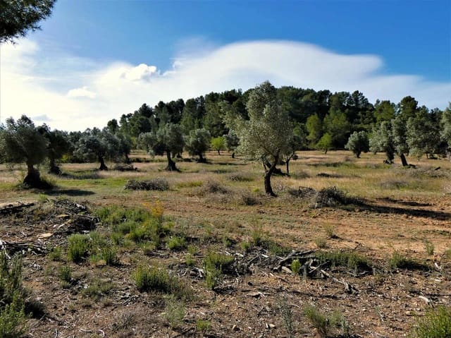 Finka/Dom wiejski na sprzedaż w Calaceite - 39 000 € (Ref: 8672378)