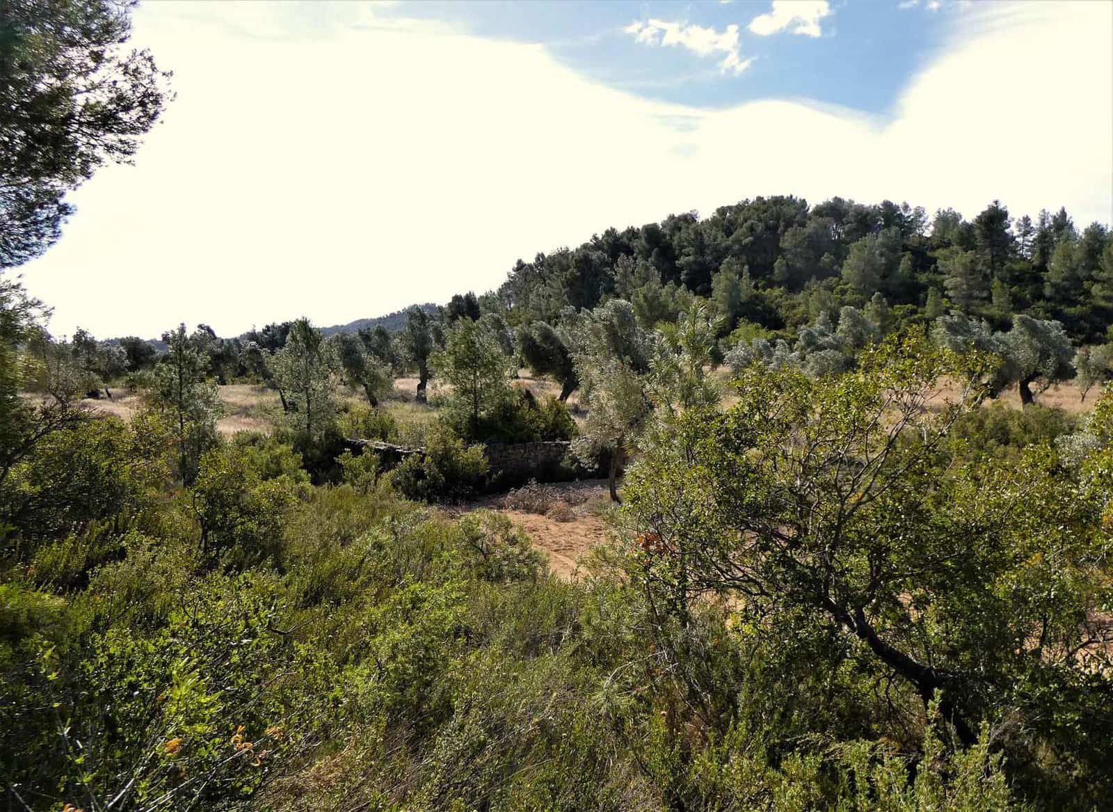 Finca/Country House for sale in Calaceite - € 39,000 (Ref: 8672378)