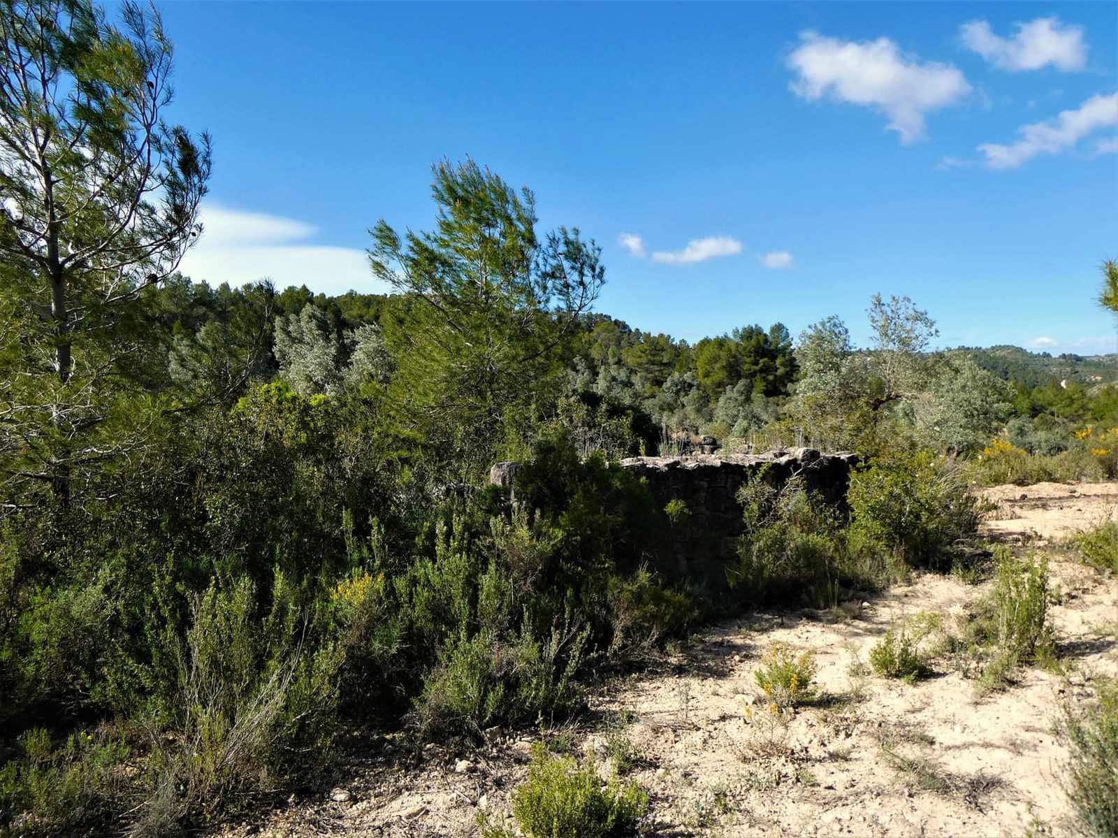 Finca/Country House for sale in Calaceite - € 39,000 (Ref: 8672378)