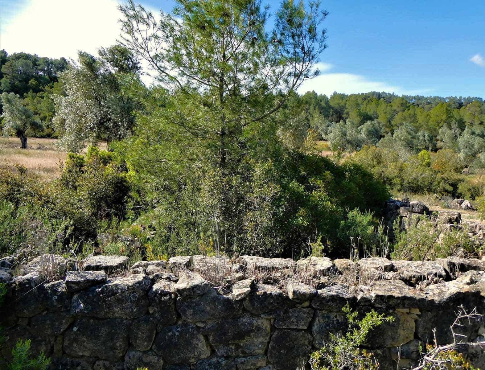 Finca/Country House for sale in Calaceite - € 39,000 (Ref: 8672378)