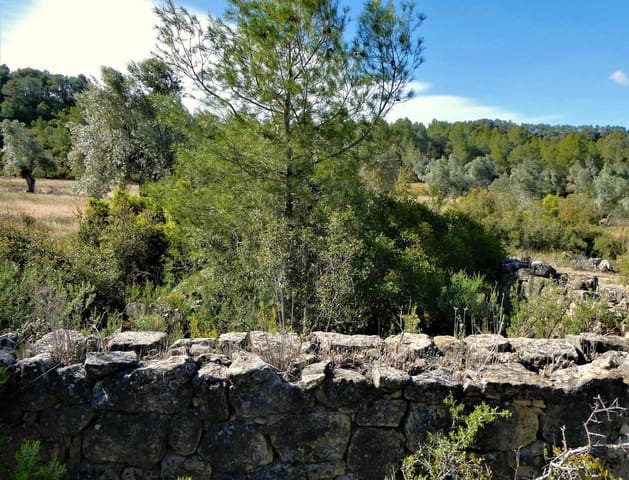 Finka/Dom wiejski na sprzedaż w Calaceite - 39 000 € (Ref: 8672378)