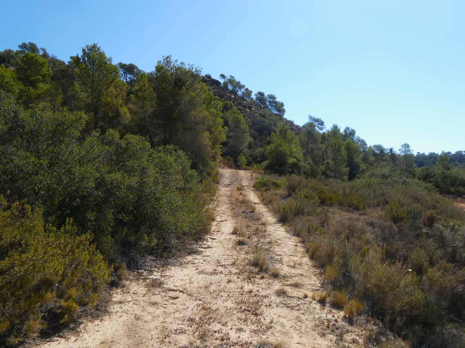 Finka/Dom wiejski na sprzedaż w Maella - 16 500 € (Ref: 8764956)