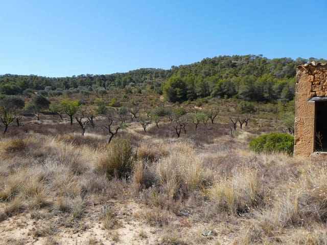 Finca/Country House for sale in Maella - € 16,500 (Ref: 8764956)