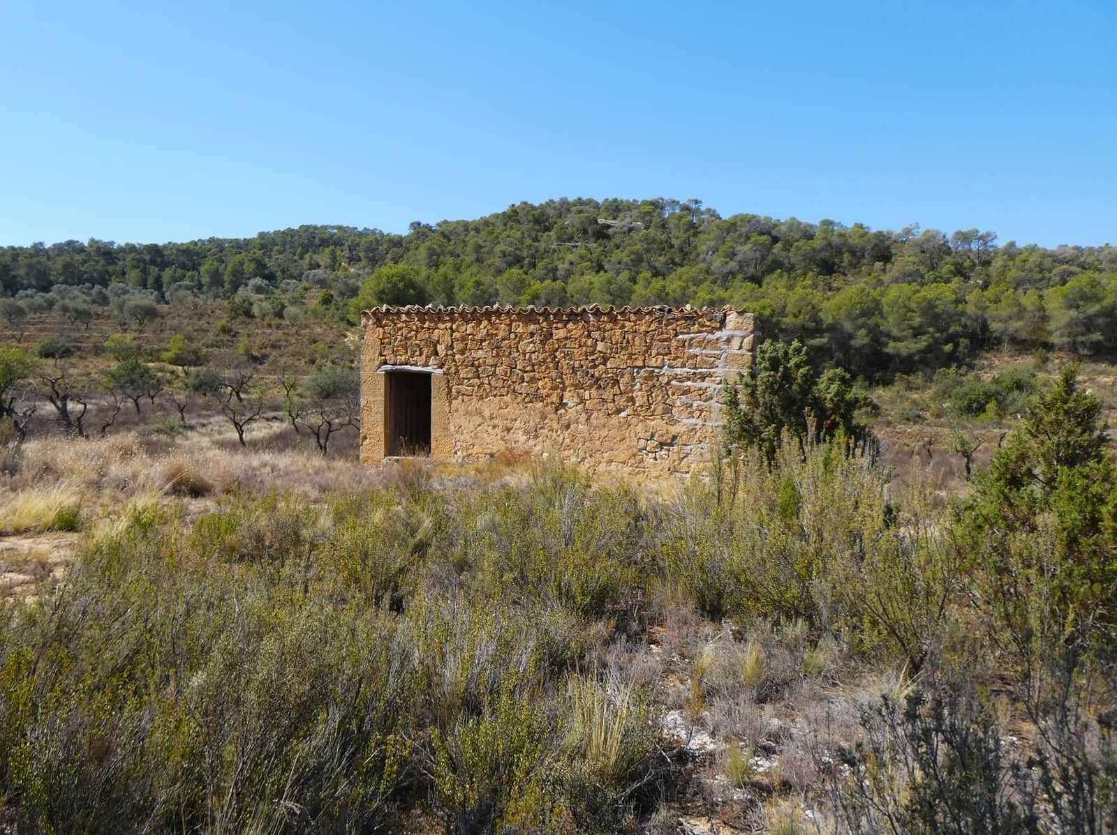 Finka/Dom wiejski na sprzedaż w Maella - 16 500 € (Ref: 8764956)