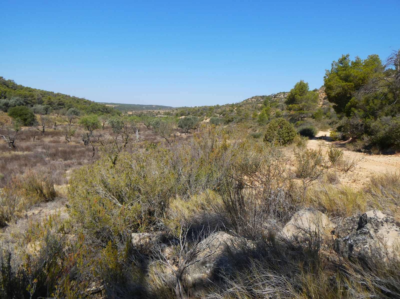 Finka/Dom wiejski na sprzedaż w Maella - 16 500 € (Ref: 8764956)