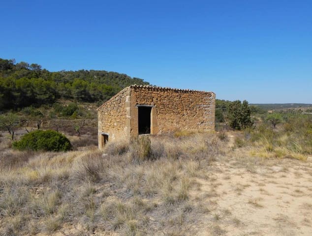 Finka/Dom wiejski na sprzedaż w Maella - 16 500 € (Ref: 8764956)