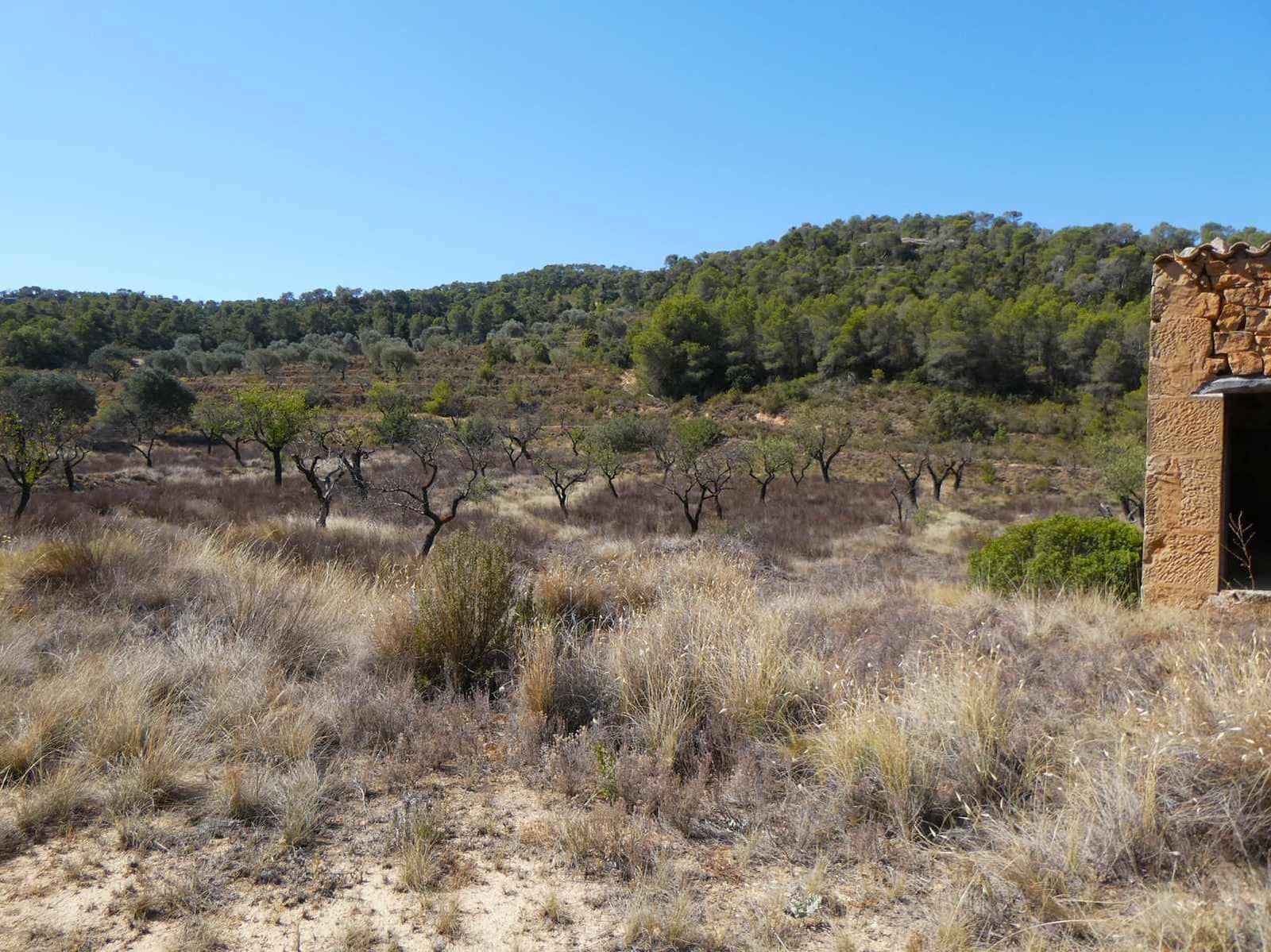 Finca/Casa Rural en Maella en venta - 16.500 € (Ref: 8764956)