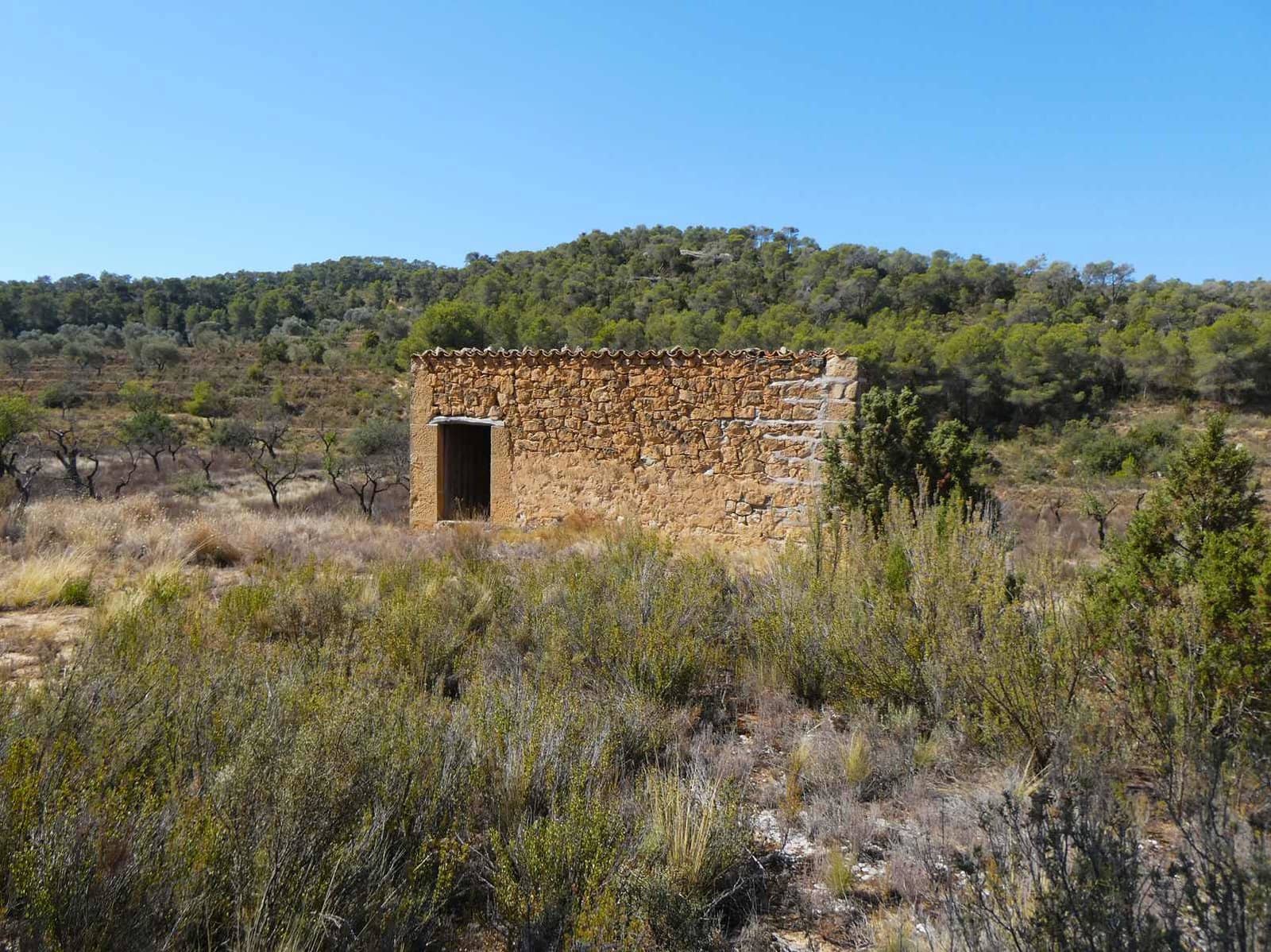 Finca/Casa Rural en Maella en venta - 16.500 € (Ref: 8764956)