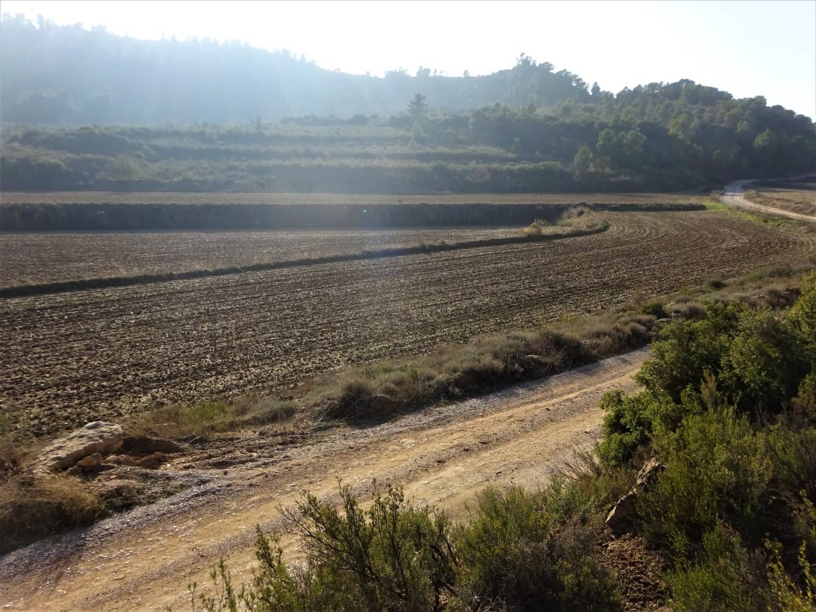 Maalaistalo myytävänä paikassa Maella - 26 000 € (Ref: 8764987)