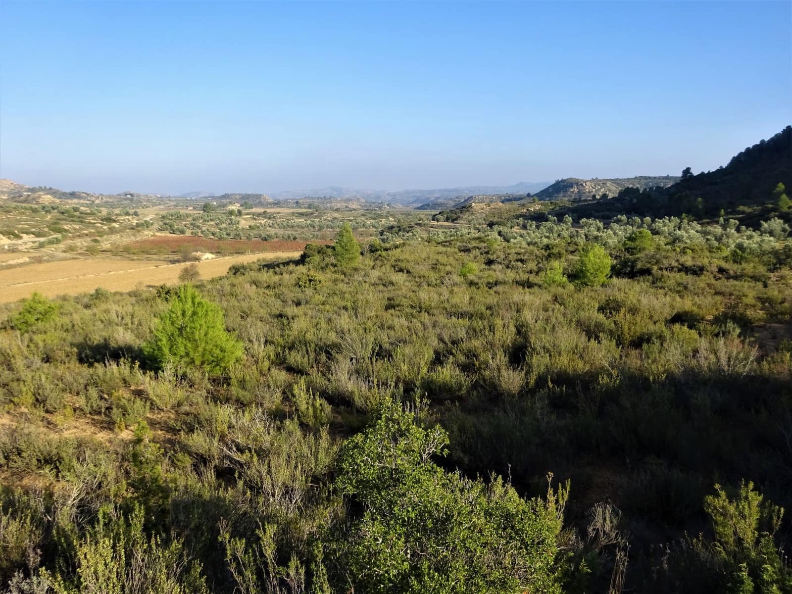 Maalaistalo myytävänä paikassa Maella - 26 000 € (Ref: 8764987)