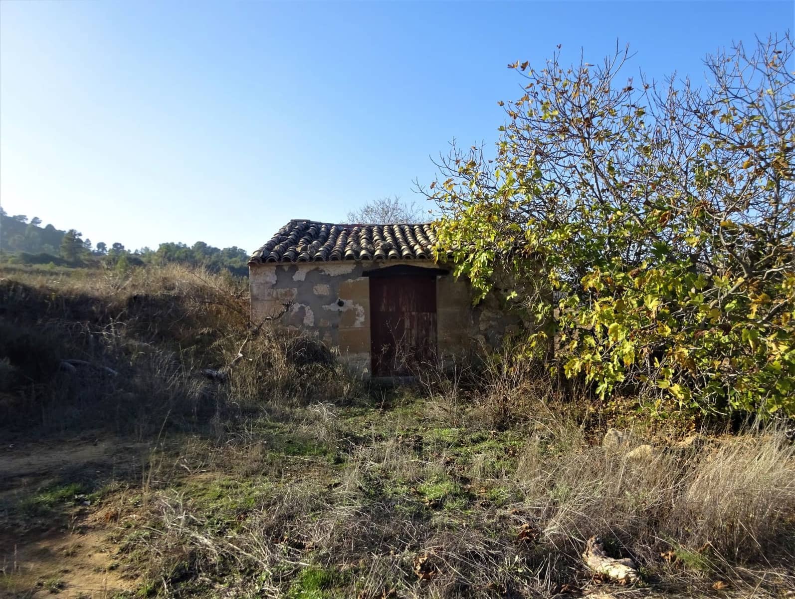 Maalaistalo myytävänä paikassa Maella - 26 000 € (Ref: 8764987)