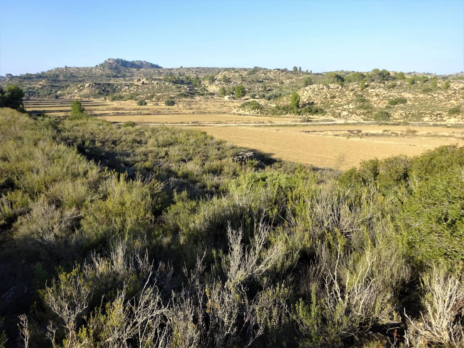 Maalaistalo myytävänä paikassa Maella - 26 000 € (Ref: 8764987)