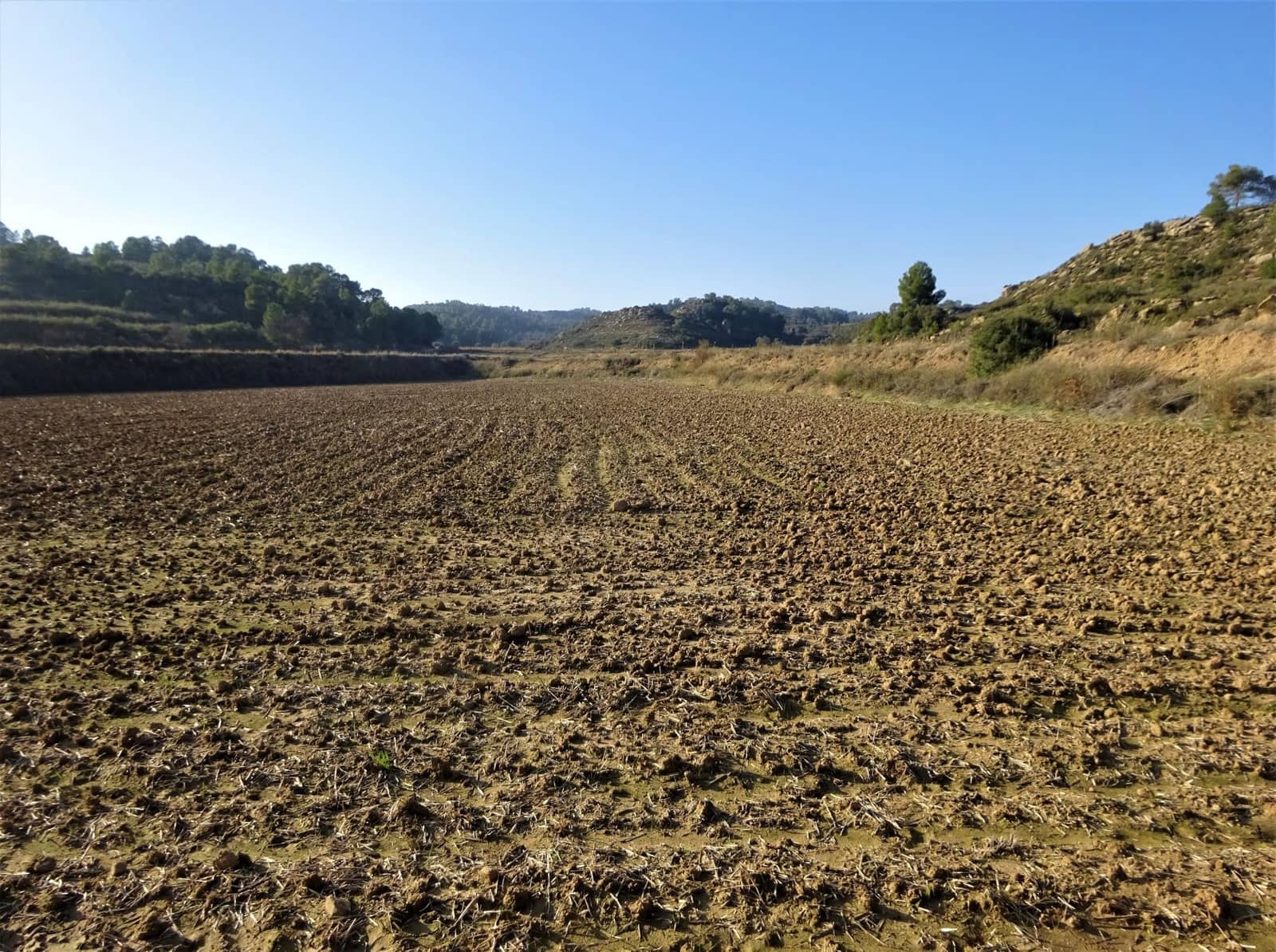 Maalaistalo myytävänä paikassa Maella - 26 000 € (Ref: 8764987)