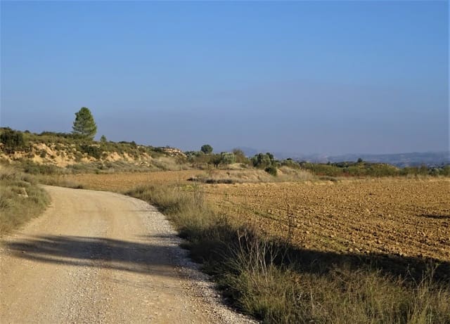 Maalaistalo myytävänä paikassa Maella - 26 000 € (Ref: 8764987)