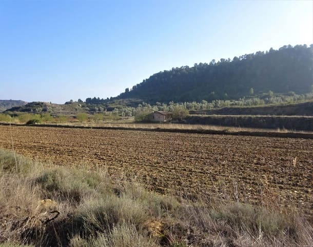 Maalaistalo myytävänä paikassa Maella - 26 000 € (Ref: 8764987)