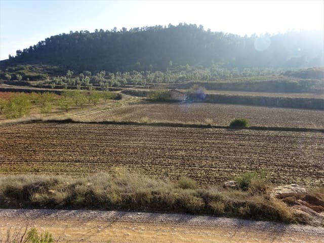 Maalaistalo myytävänä paikassa Maella - 26 000 € (Ref: 8764987)