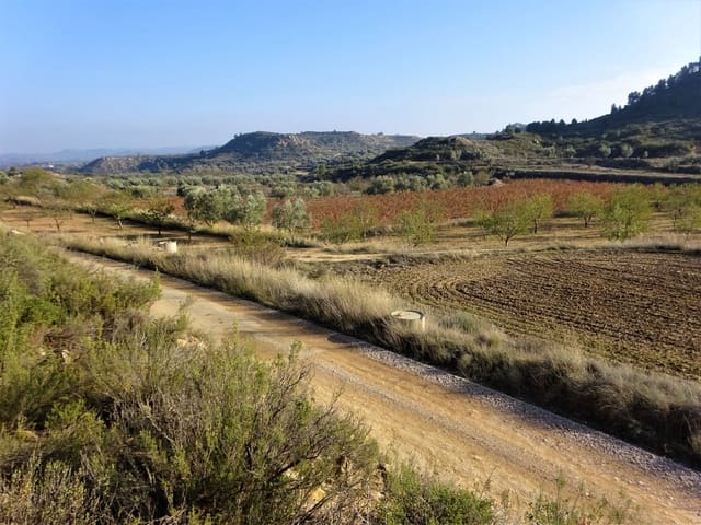 Maalaistalo myytävänä paikassa Maella - 26 000 € (Ref: 8764987)