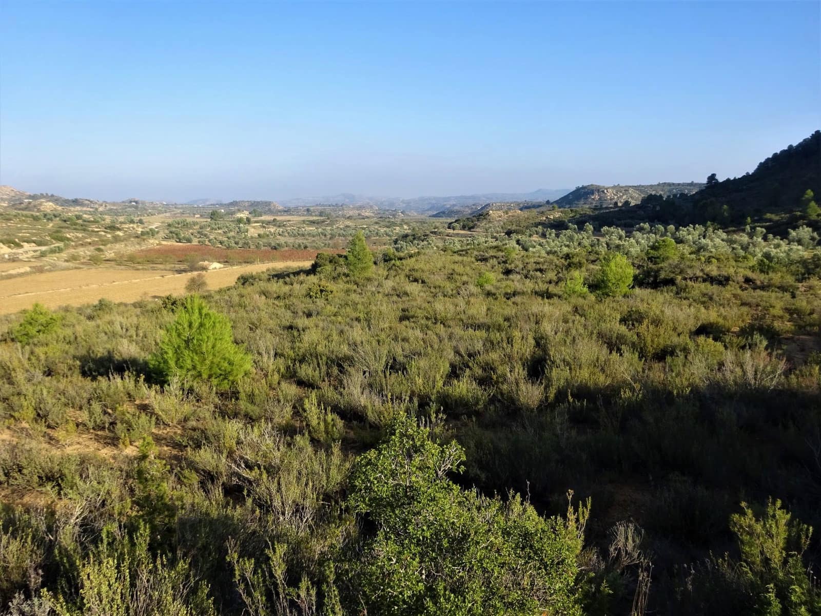 Finca/Country House for sale in Maella - € 26,000 (Ref: 8764987)
