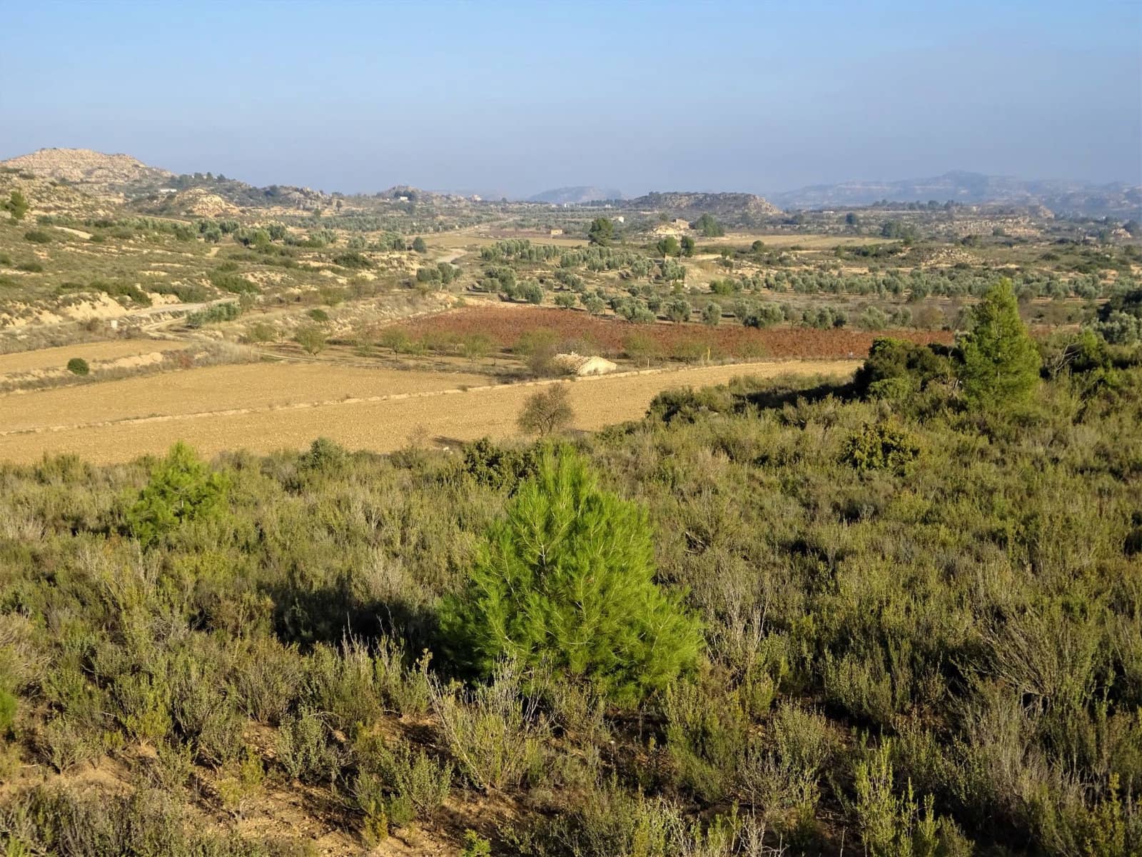 Finca/Country House for sale in Maella - € 26,000 (Ref: 8764987)
