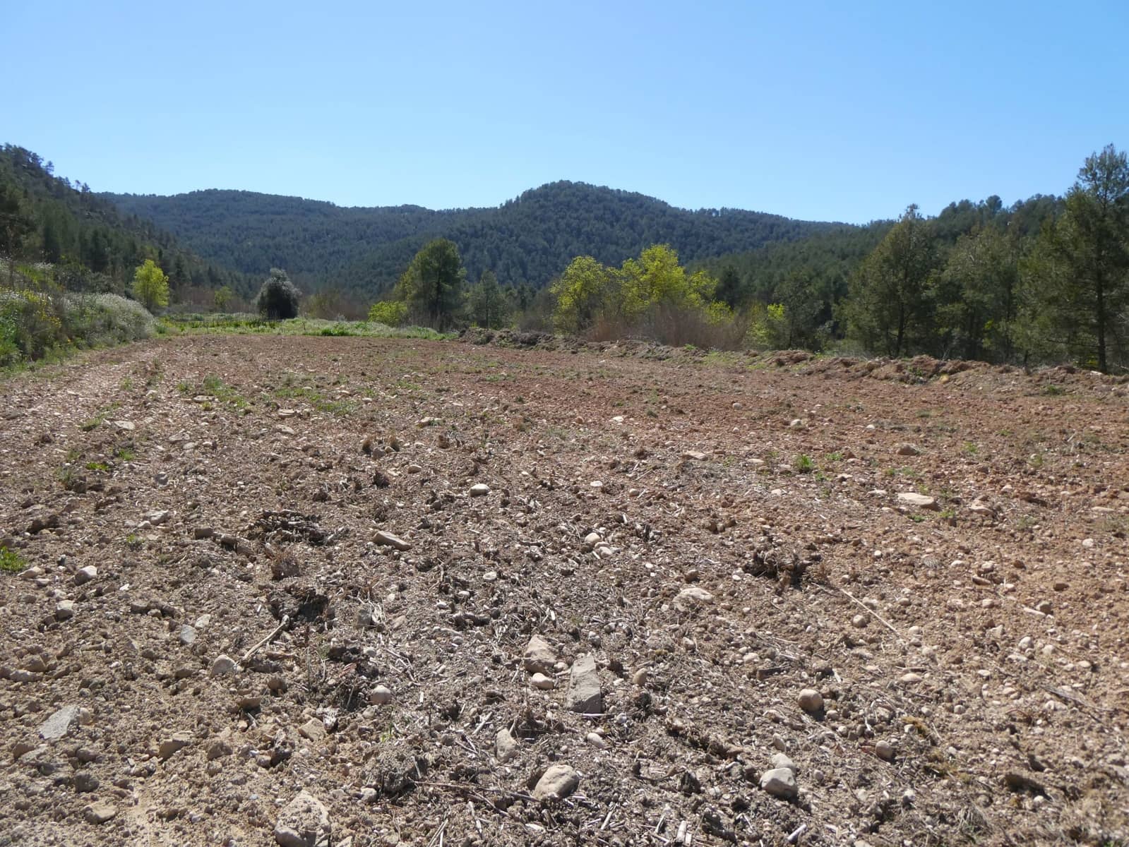 Finca/Landehus til salg i Caseres - € 9.000 (Ref: 8910164)