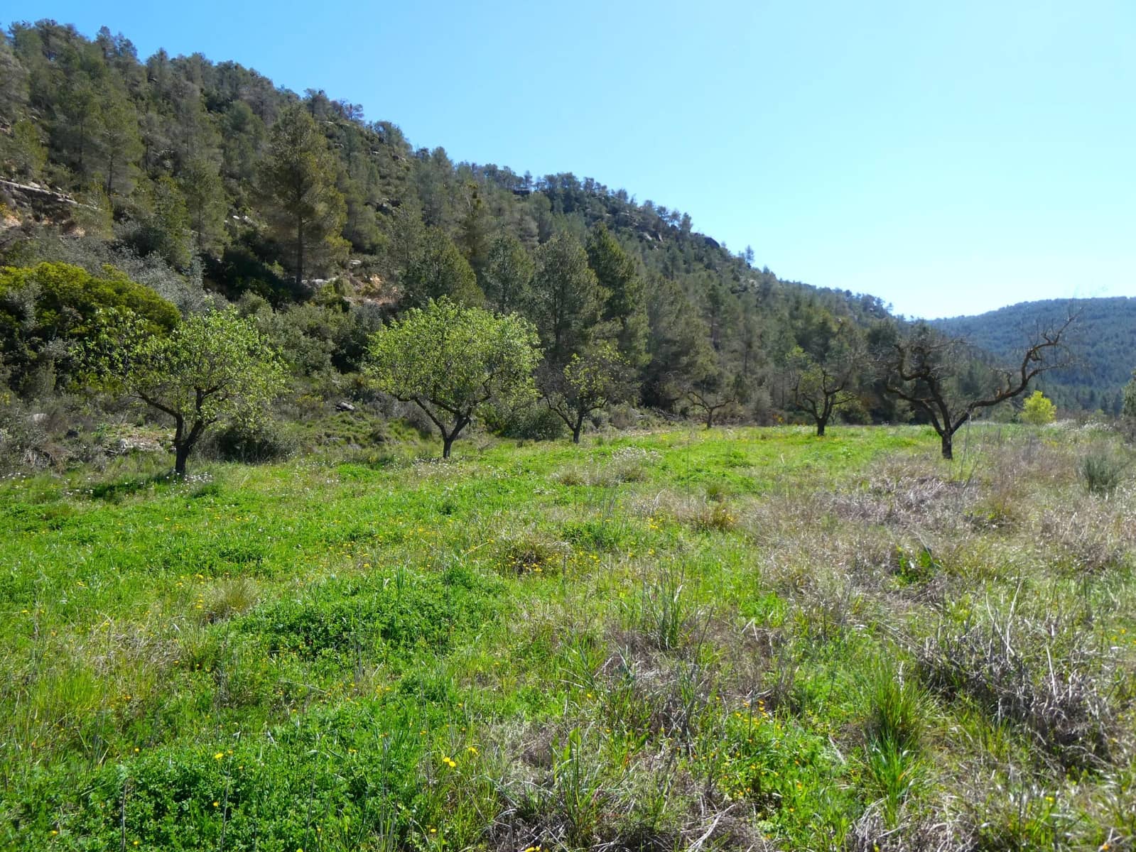 Finca/Landehus til salg i Caseres - € 9.000 (Ref: 8910164)