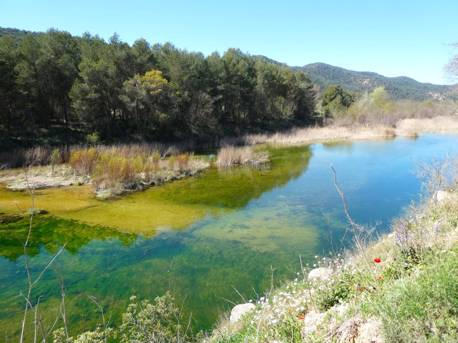 Finca/Landehus til salg i Caseres - € 9.000 (Ref: 8910164)