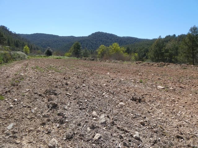 Finca/Landehus til salg i Caseres - € 9.000 (Ref: 8910164)