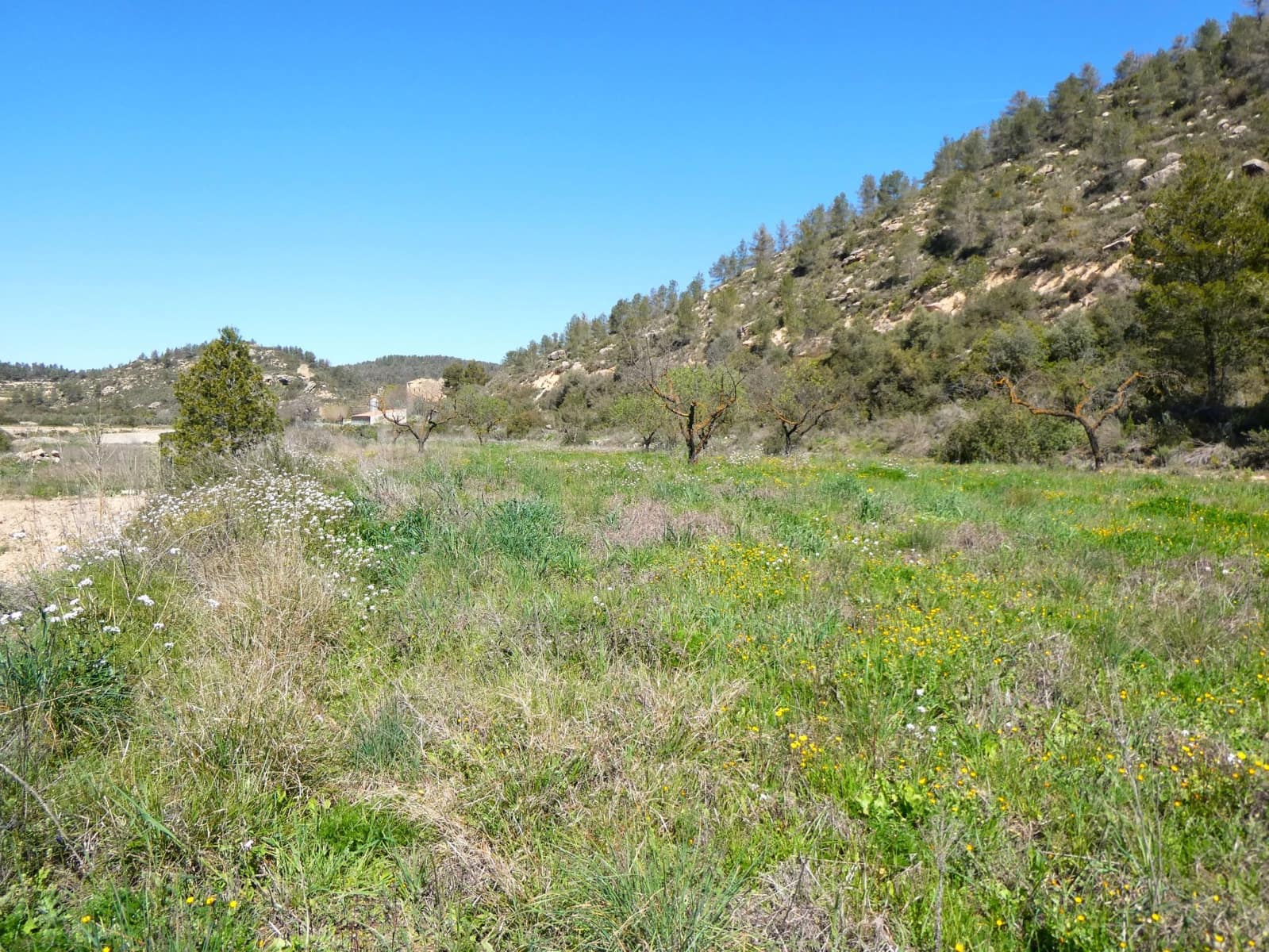 Finca/Landehus til salg i Caseres - € 9.000 (Ref: 8910164)