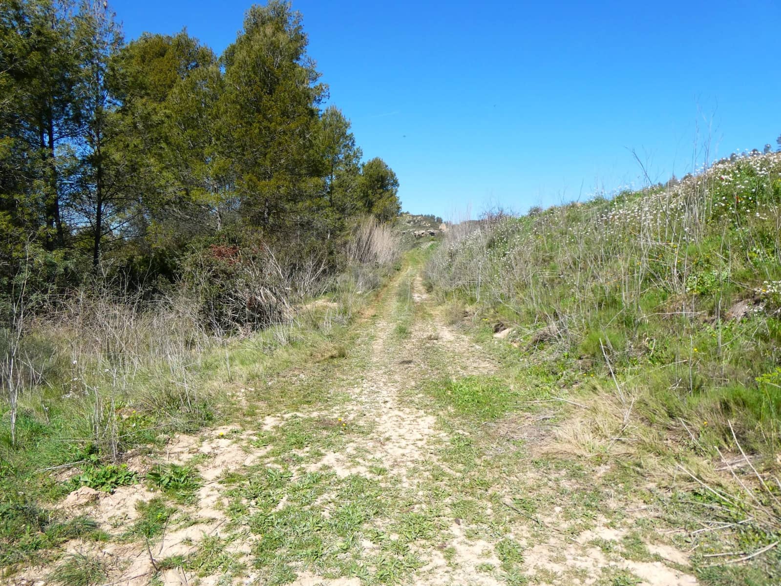 Finca/Landehus til salg i Caseres - € 9.000 (Ref: 8910164)