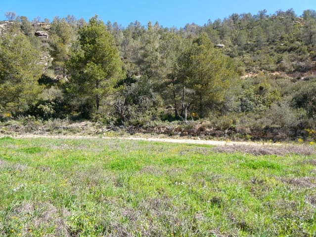 Finca/Landehus til salg i Caseres - € 9.000 (Ref: 8910164)