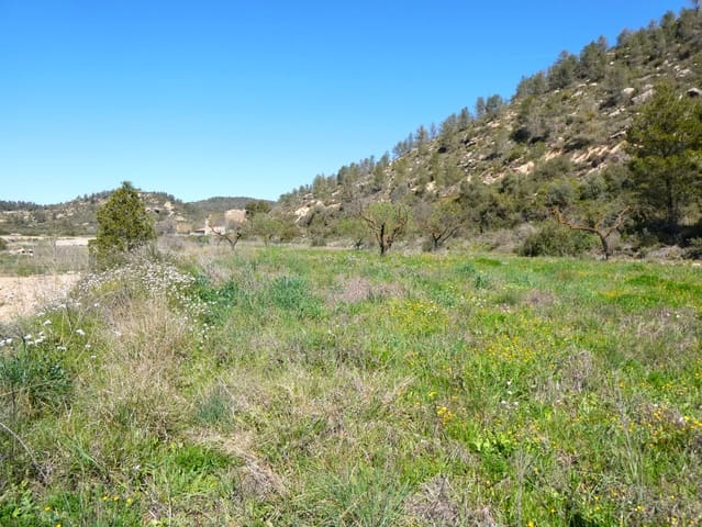 Finca/Landehus til salg i Caseres - € 9.000 (Ref: 8910164)