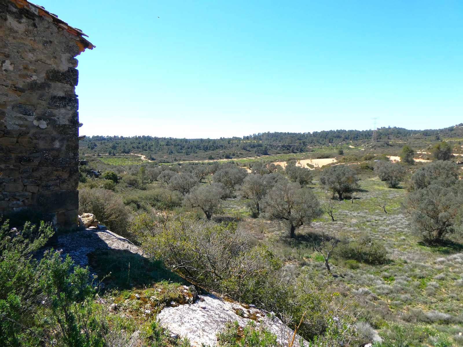 Finca/Casa di Campagna in vendita in Fabara - 11.000 € (Rif: 8916871)