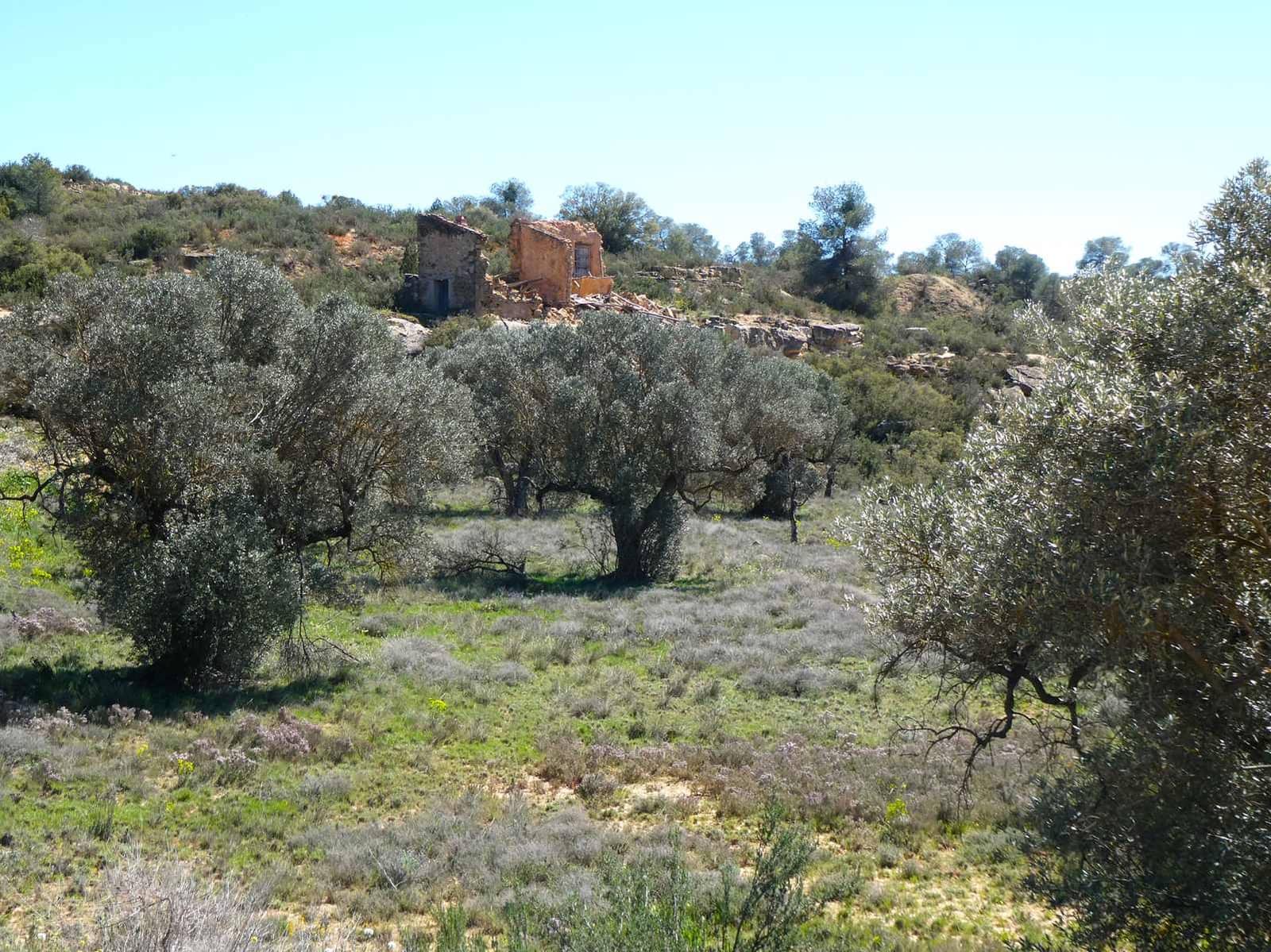 Finca/Casa di Campagna in vendita in Fabara - 11.000 € (Rif: 8916871)