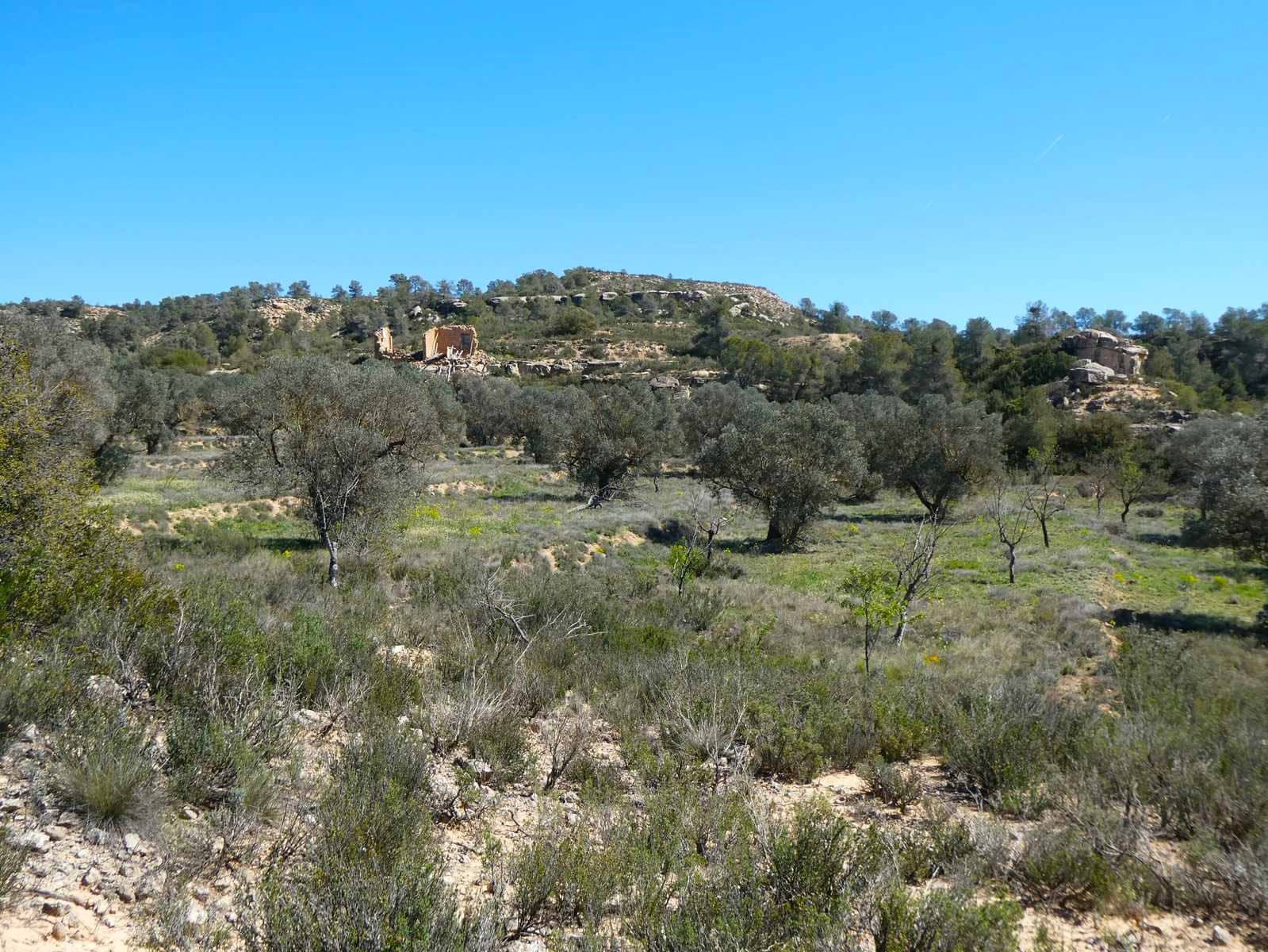 Finca/Landehus til salg i Fabara - € 9.500 (Ref: 8916871)