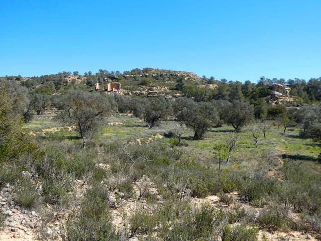 Finca/Landehus til salg i Fabara - € 9.500 (Ref: 8916871)