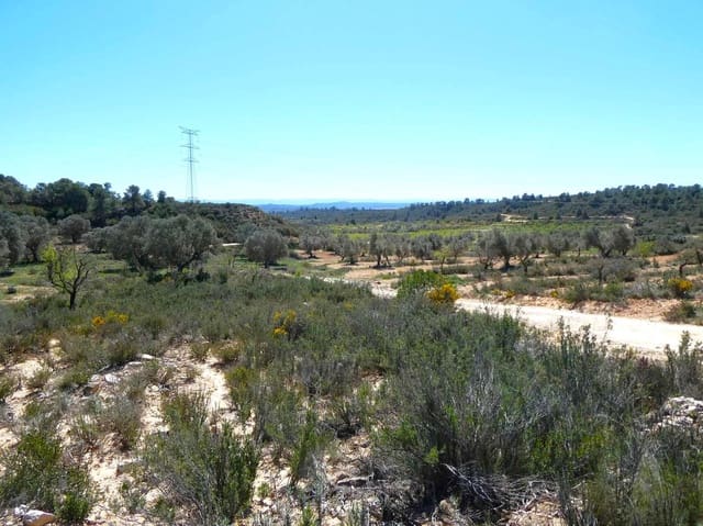 Finca/Landehus til salg i Fabara - € 9.500 (Ref: 8916871)