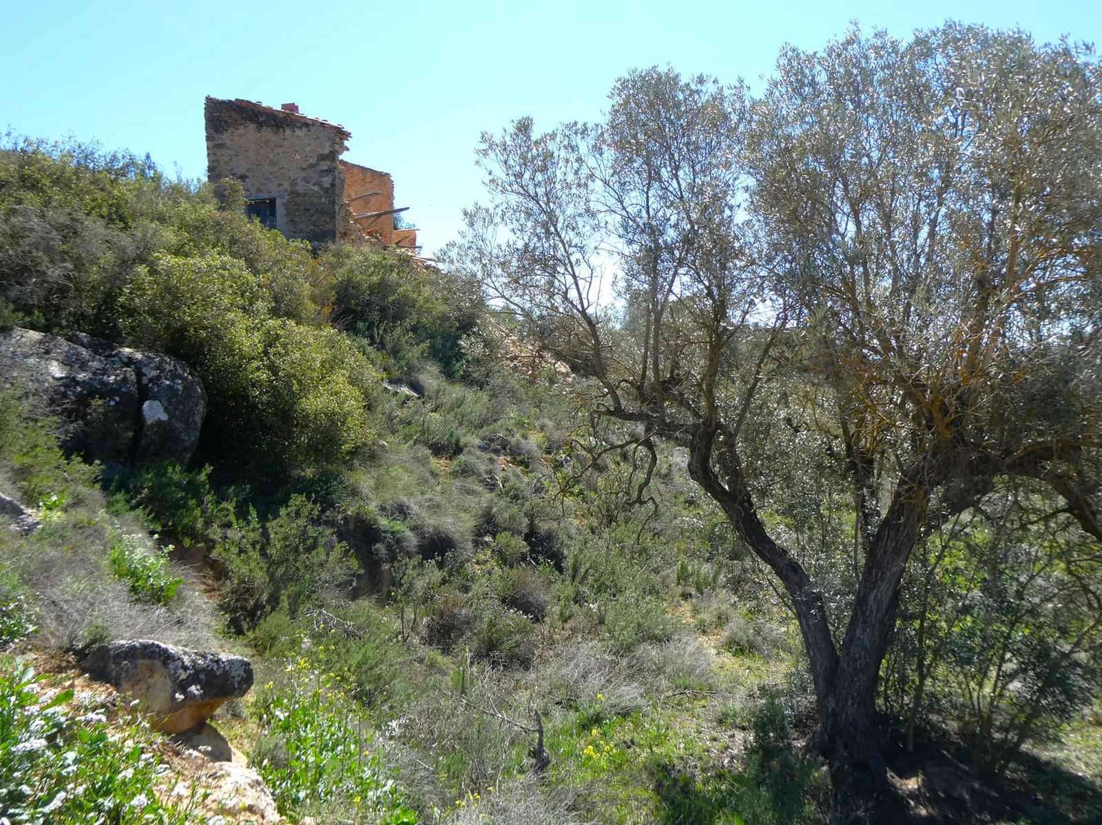 Finca/Landehus til salg i Fabara - € 9.500 (Ref: 8916871)
