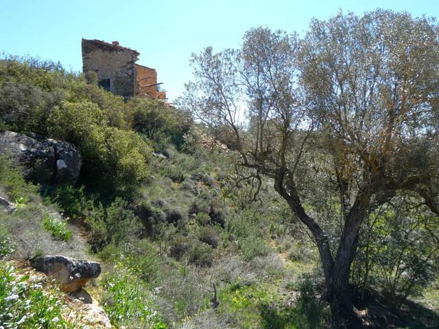 Finca/Landehus til salg i Fabara - € 9.500 (Ref: 8916871)