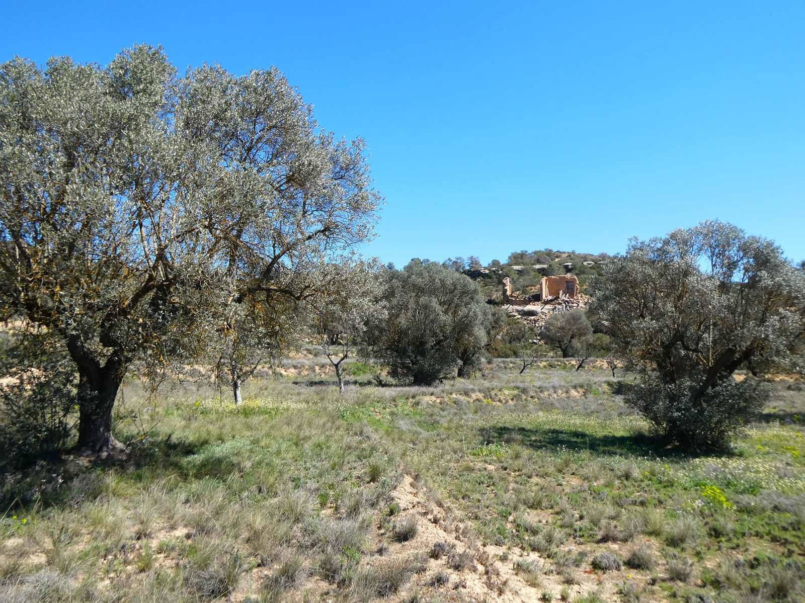 Finca/Landehus til salg i Fabara - € 9.500 (Ref: 8916871)