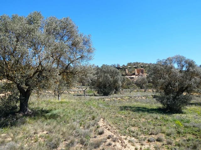 Finca/Landehus til salg i Fabara - € 9.500 (Ref: 8916871)