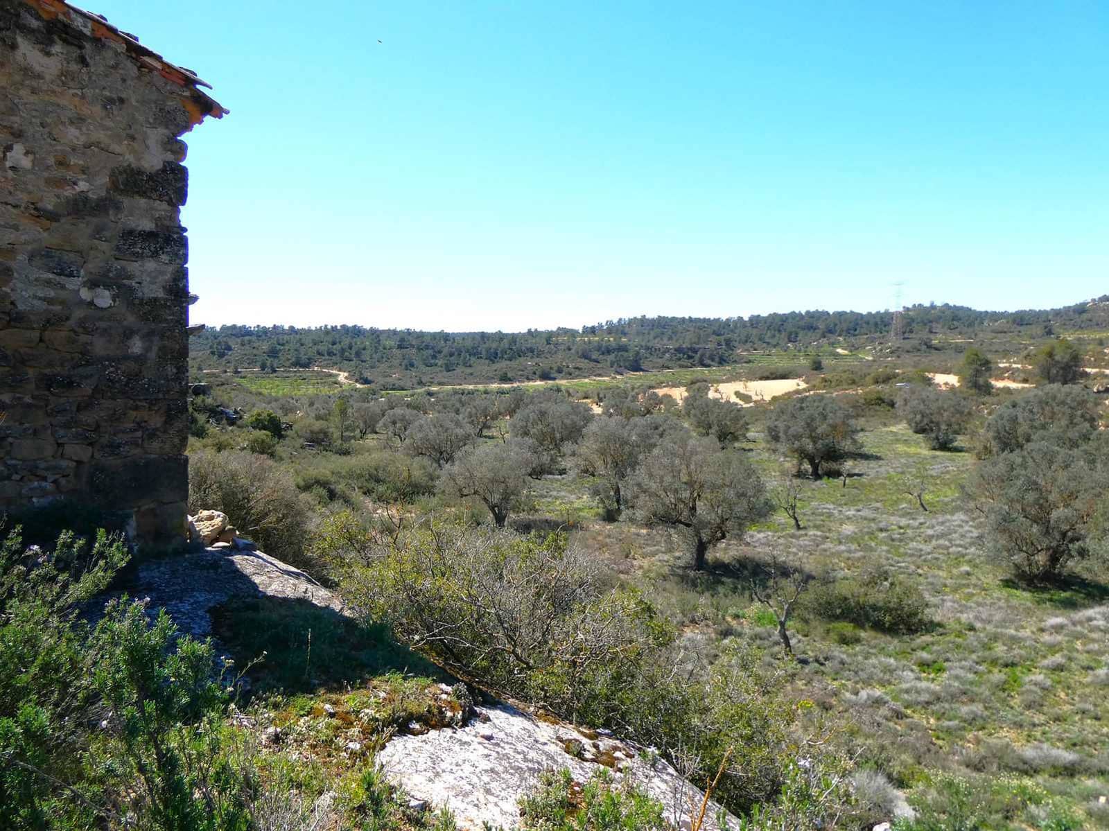 Finca/Landehus til salg i Fabara - € 9.500 (Ref: 8916871)