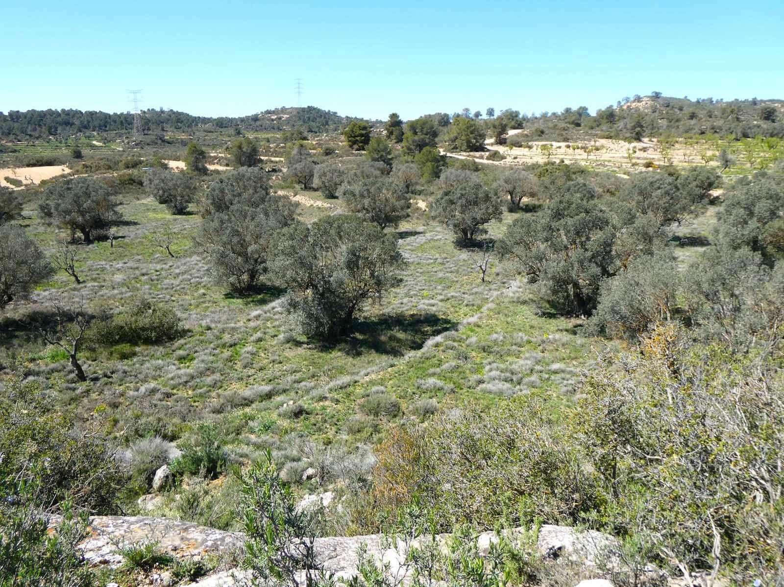 Finca/Landehus til salg i Fabara - € 9.500 (Ref: 8916871)