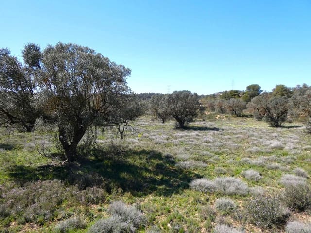 Finca/Landehus til salg i Fabara - € 9.500 (Ref: 8916871)