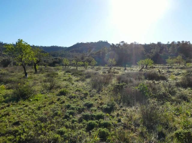 1 bedroom Finca/Country House for sale in Maella - € 43,500 (Ref: 8948337)