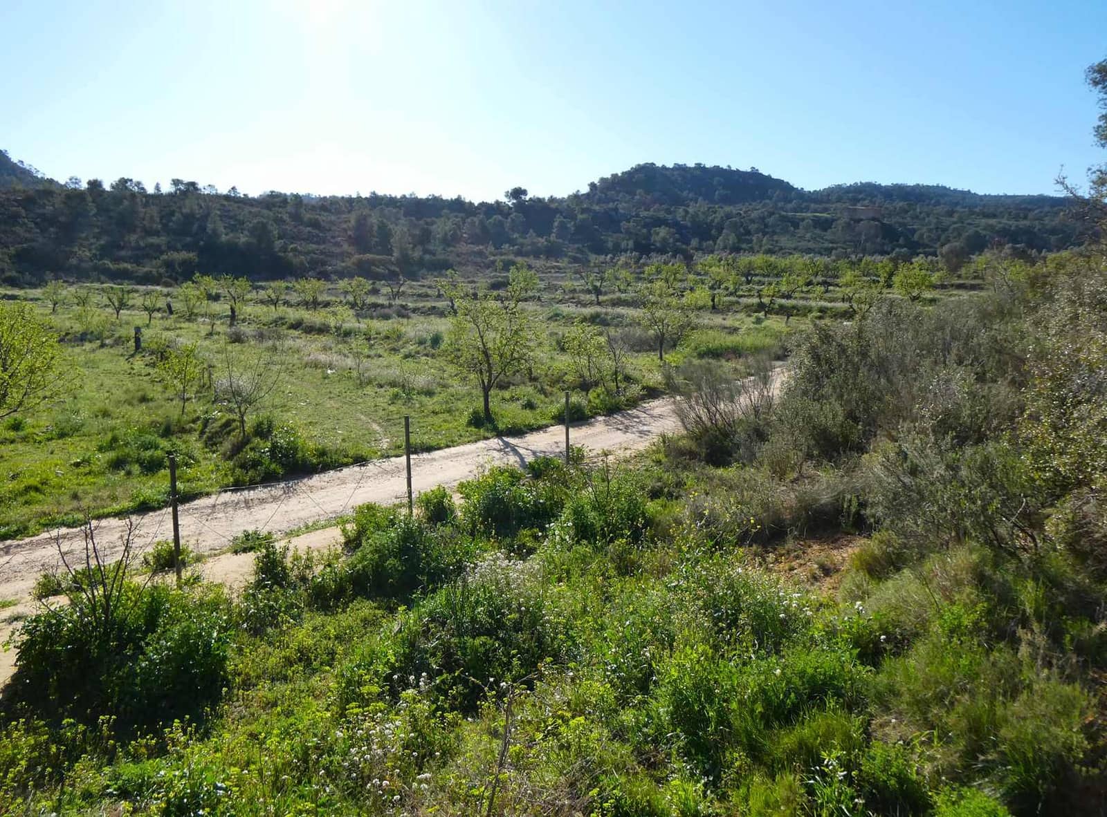 1 soveværelse Finca/Landehus til salg i Maella - € 43.500 (Ref: 8948337)